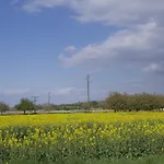 Zum Schwanen Garni Πανδοχείο