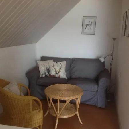 Fogadó Zum Schwanen Garni Buggingen