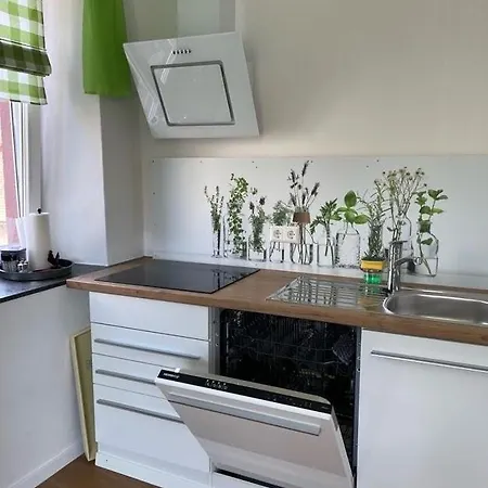 Zum Schwanen Garni Buggingen