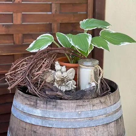 Zum Schwanen Garni Fogadó