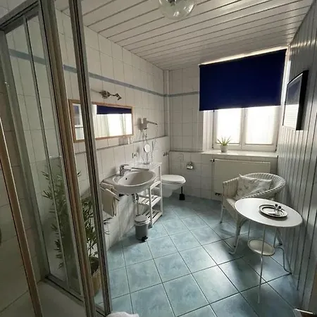 Zum Schwanen Garni 2* Buggingen