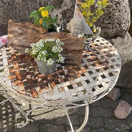 Zum Schwanen Garni Fogadó Buggingen