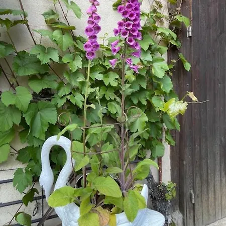 Zum Schwanen Garni Fogadó 2*