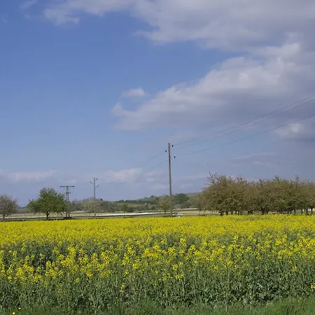Zum Schwanen Garni Fogadó