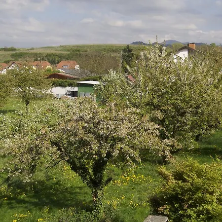 Zum Schwanen Garni Fogadó 2*