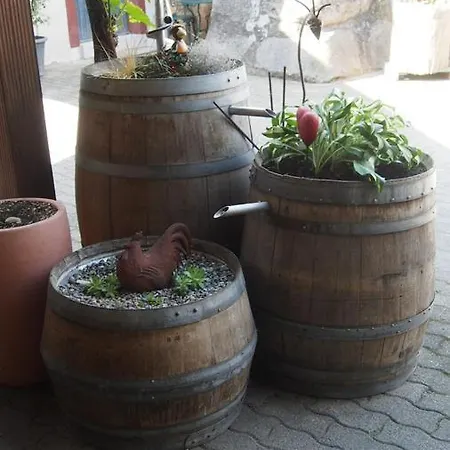 Fogadó Zum Schwanen Garni 2*