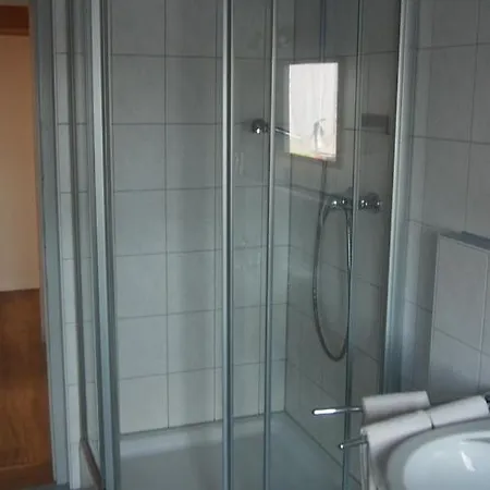 Zum Schwanen Garni Buggingen