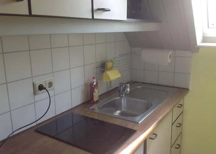 Zum Schwanen Garni Han/Misafirhane