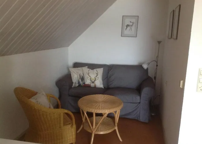 Han/Misafirhane Zum Schwanen Garni Buggingen