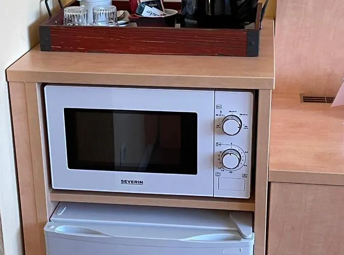 Han/Misafirhane Zum Schwanen Garni Buggingen