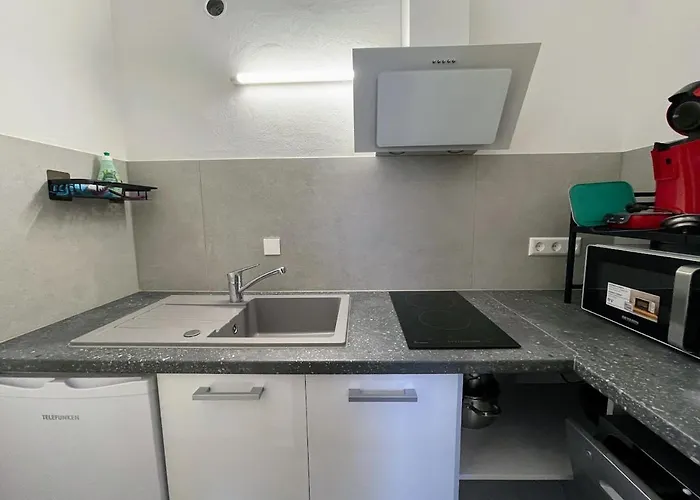 Han/Misafirhane Zum Schwanen Garni Buggingen