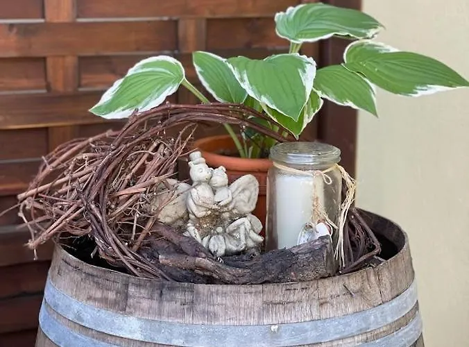 Zum Schwanen Garni Han/Misafirhane