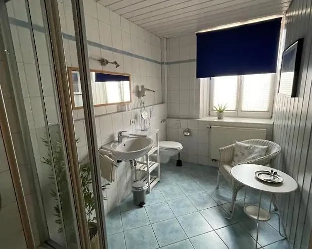 Zum Schwanen Garni 2* Buggingen