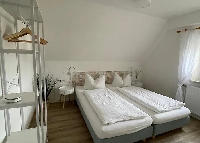 Zum Schwanen Garni Han/Misafirhane 2*