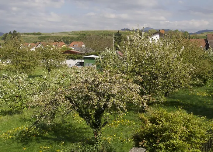 Zum Schwanen Garni Han/Misafirhane 2*