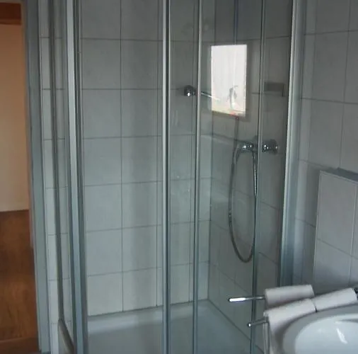 Zum Schwanen Garni Buggingen